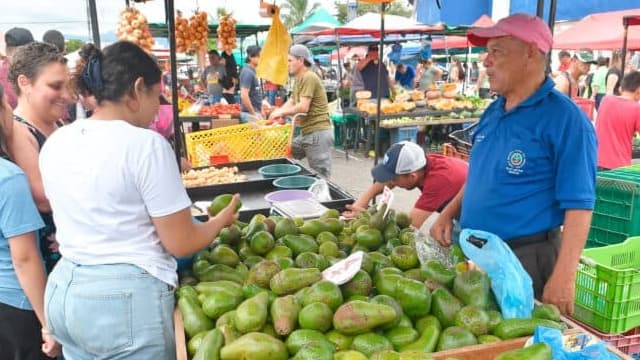 Meet Our Local Producers